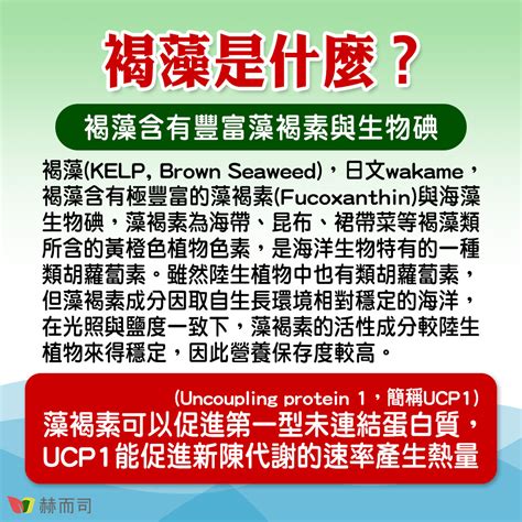 褐仰定功效|「藻褐素」有助調節胰島素降血糖、代謝脂肪？膠囊好。